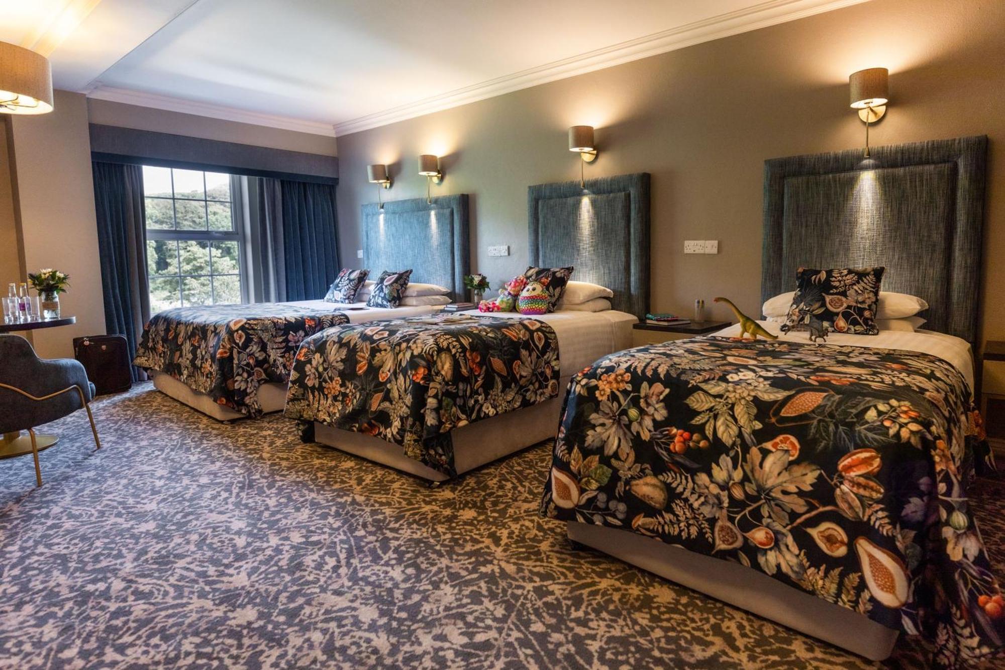 Falls Hotel & Spa エニスタイモン エクステリア 写真